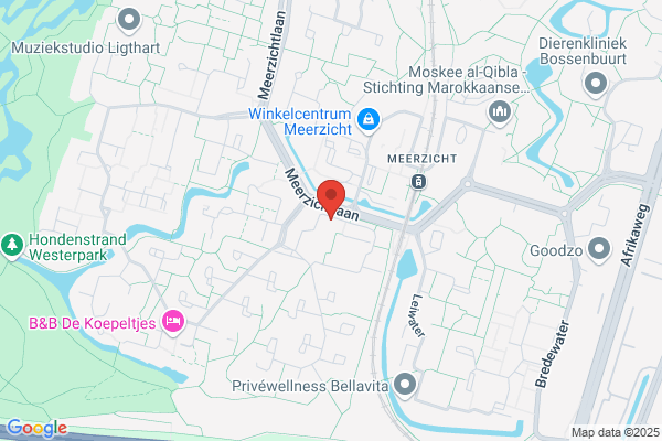 Mensendieck Oefenther Voort M N E M vd