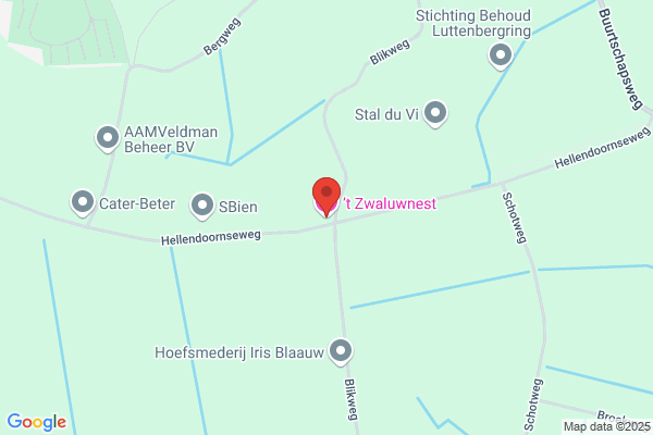 Zwaluwnest, Het