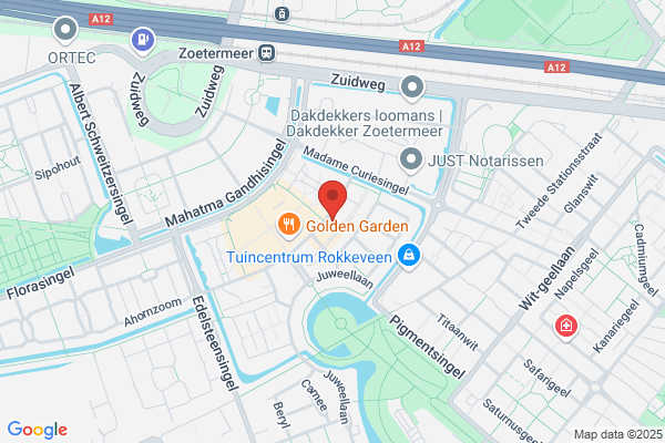 Jong, De