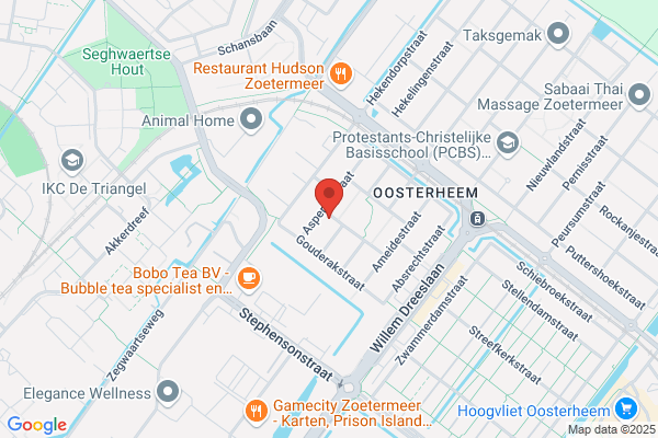 Daktechniek F van der Ende