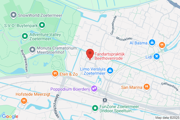 Stubbe-Vergroesen En C A M Brevet-Moons, B M