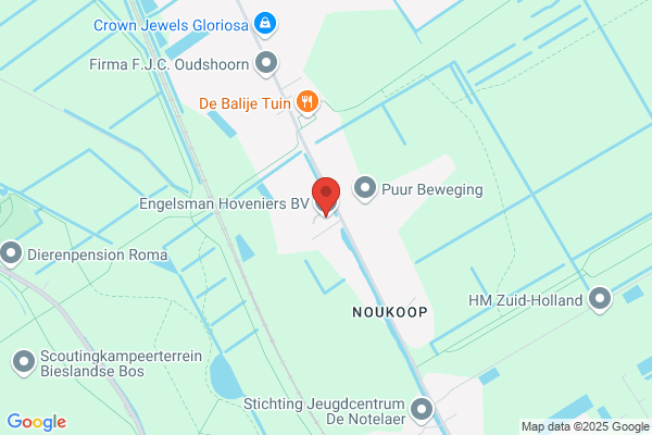 Engelsman Bv, Den
