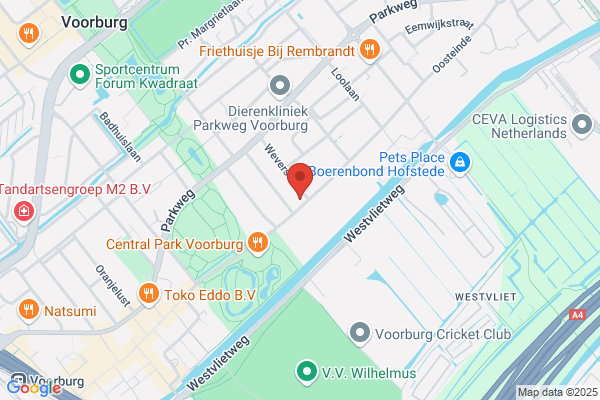 Sem Consultancy Bv