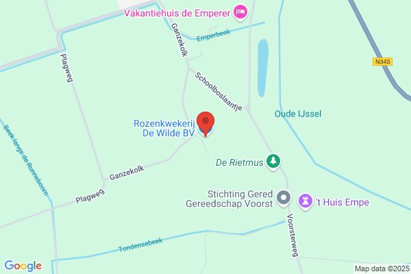 J. Van Dalen Rozenkwekerij