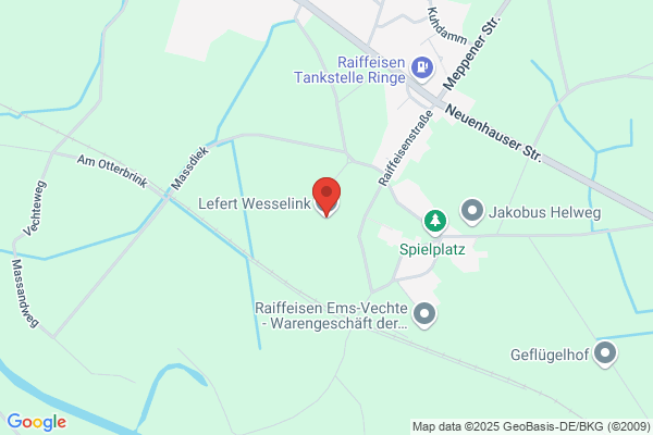 T.J.M. Wesselink