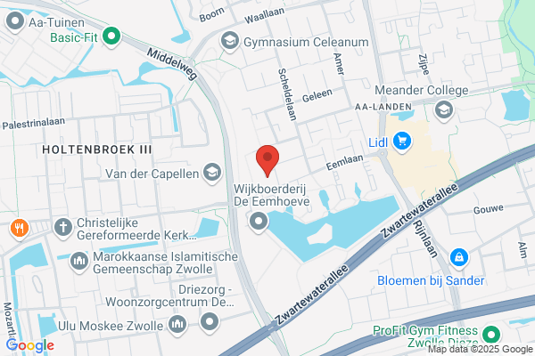 Muurschilderingen Eddy Dijkslag