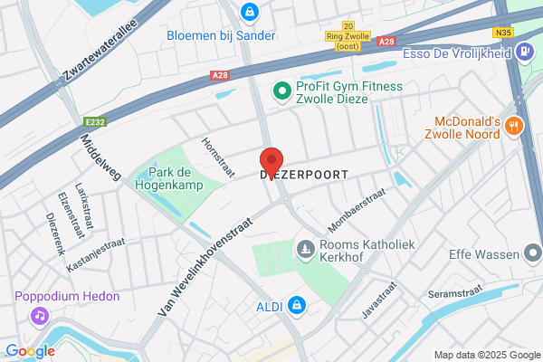 Assen Business Flowers, A Van