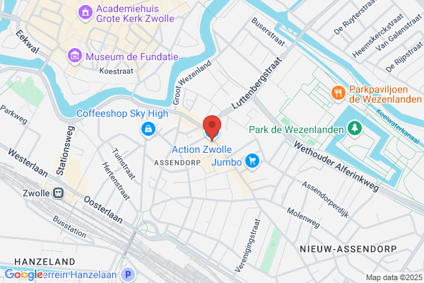 Action Zwolle