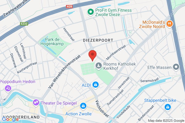 Reizende Postduif, Postduivenver De