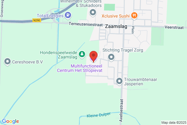 Zvkv Zeeuws-Vlaamse Kattenver