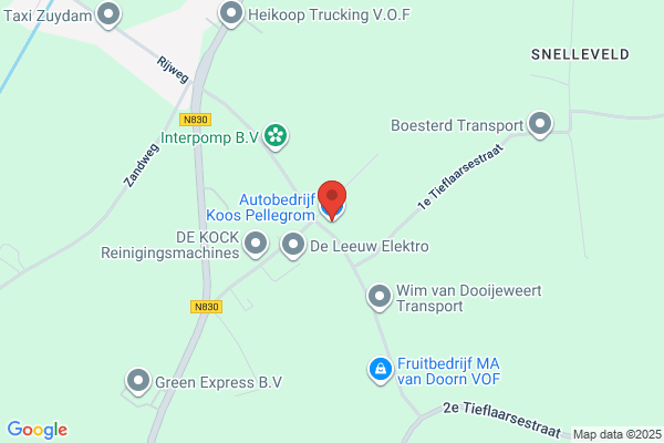 Pellegrom