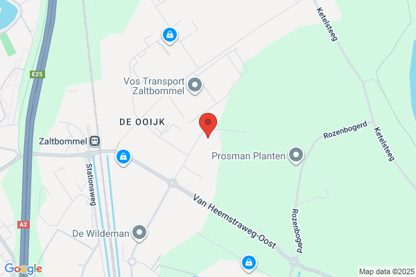 Rijnsbergen & Zn, Van