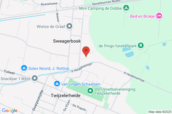 Lups Polyesterwerken