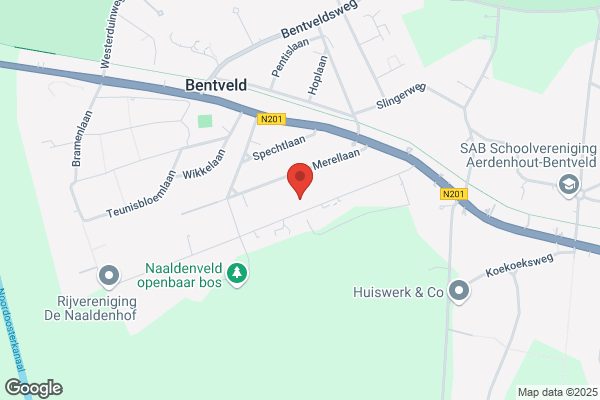 Ed Anser Ii Bv