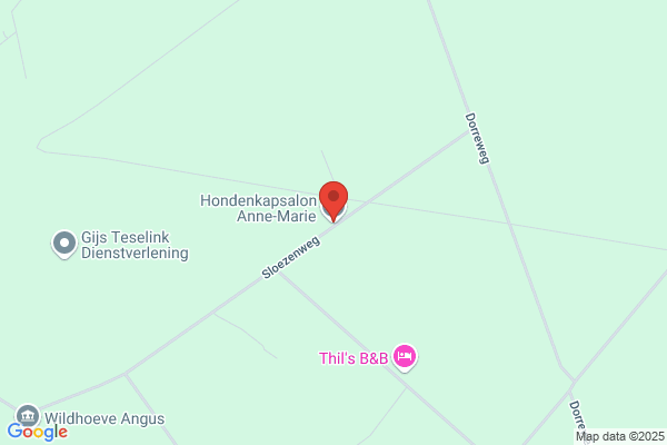Hondenkapsalon Renee