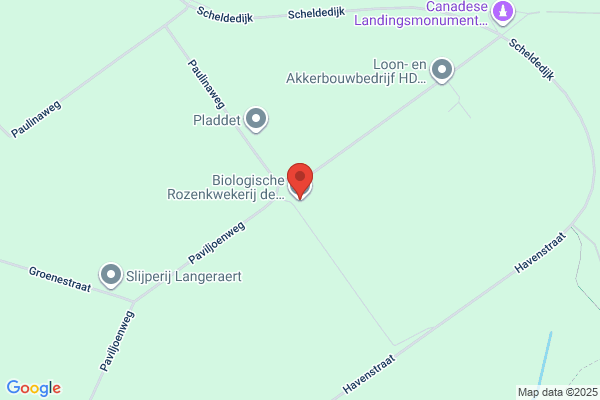 Hoveniersbedrijf Rozenkwekerij Kees De J