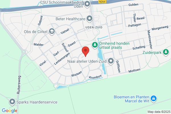 Visieon, Het