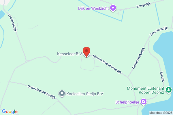 Kamillelaar Bv, De