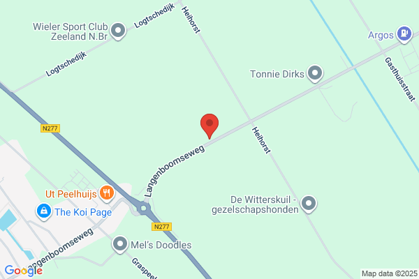 Dongen, Van