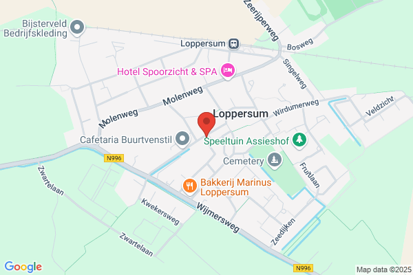 Smidse Kapsalon De