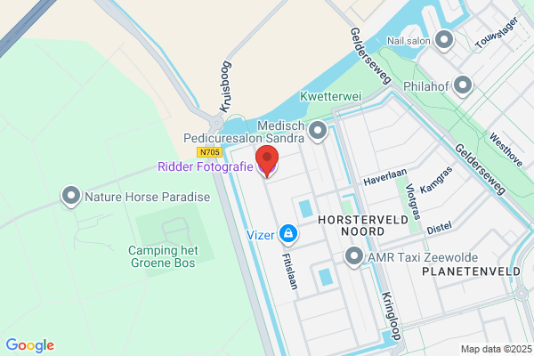 Ridderspoor