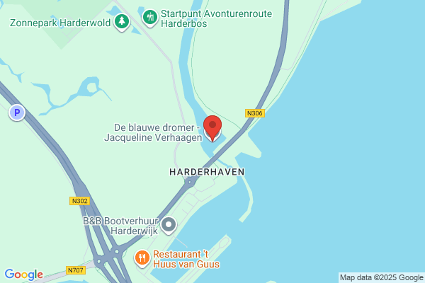 Blauwe Giraf, De