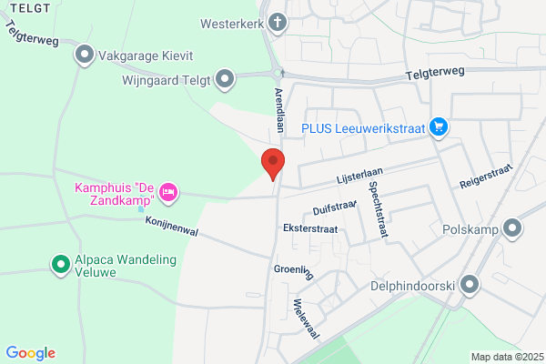 Beertje Puk