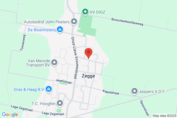 Ranonkel, De