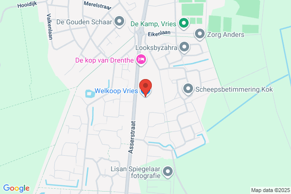 Welkoop Vries