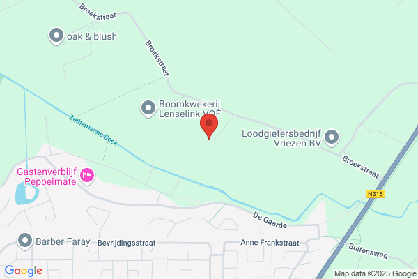 B.G. Lenderink