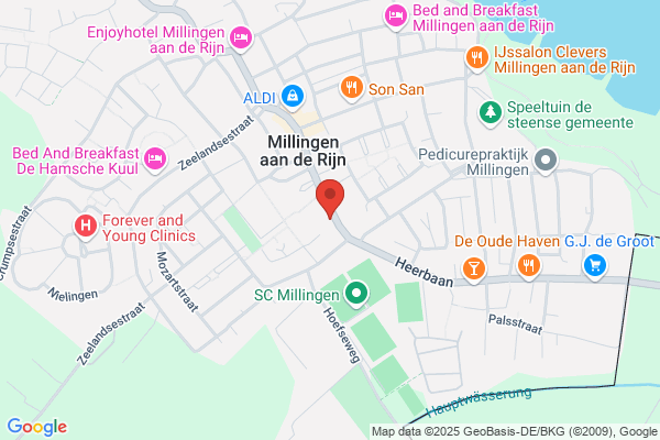 Rijsemus