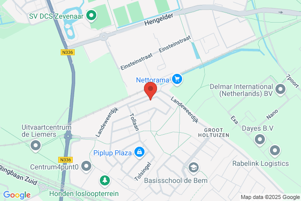 Reintjes