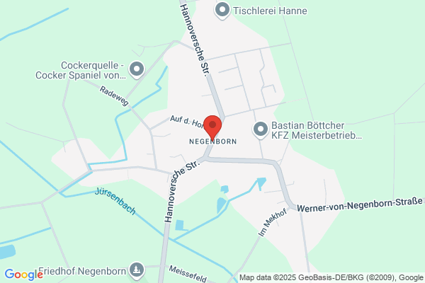 C Negenborn T En Seesing