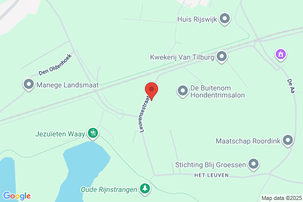 Gloriosakwekerij Ruizendaal
