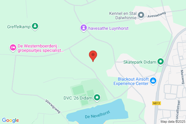 Looman, Henk