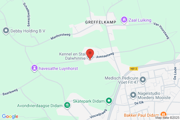 Kennel De Molenhoek