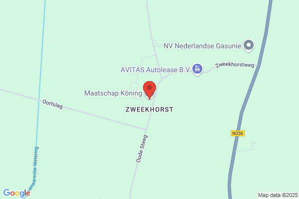 Koning, P J M