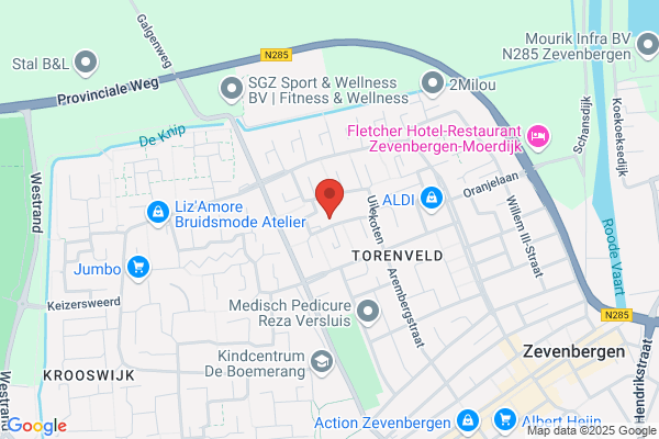 Jong, De