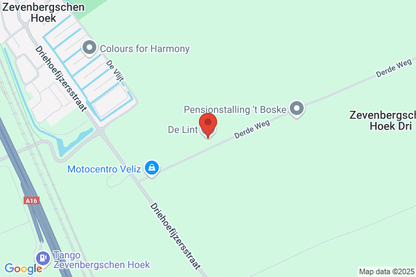 De Lint Service