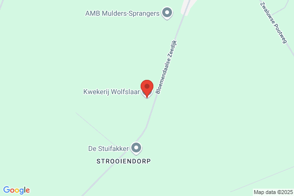 Kwekerij De Wiel Bv