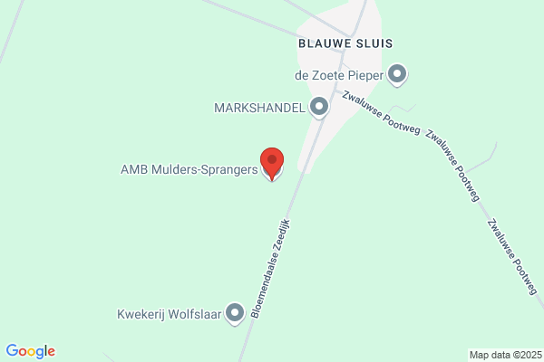 Mulders, M A M