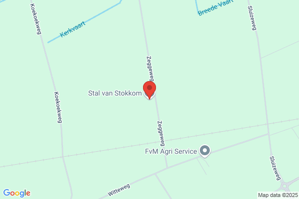 Stoeterij - Handelsstal - Mangnus