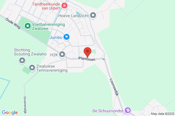 Zwaluwnest, 't