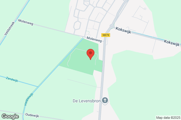 P R Dijk
