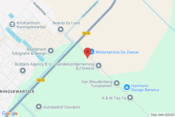 Vries, Leo De