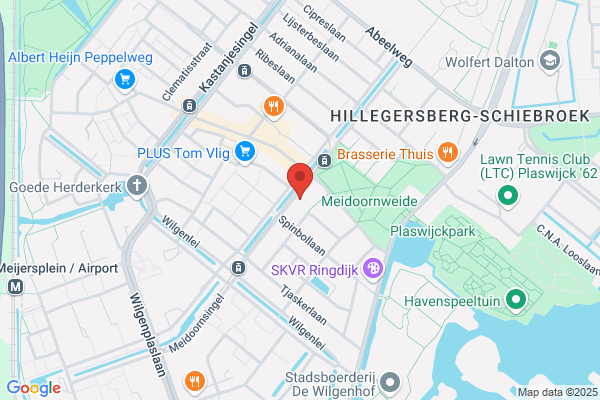 De Wilgenstam