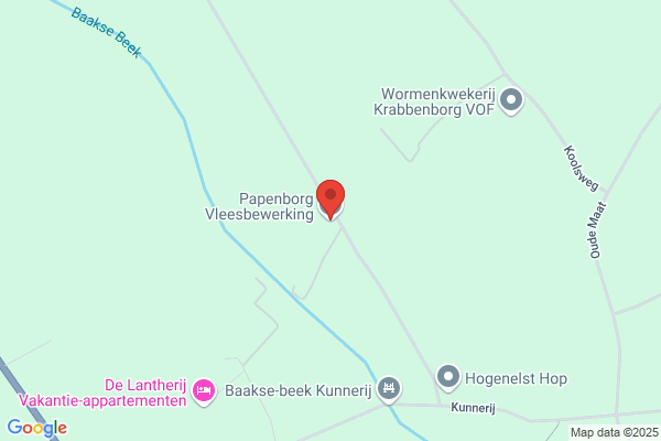 Drostenborg, Henk