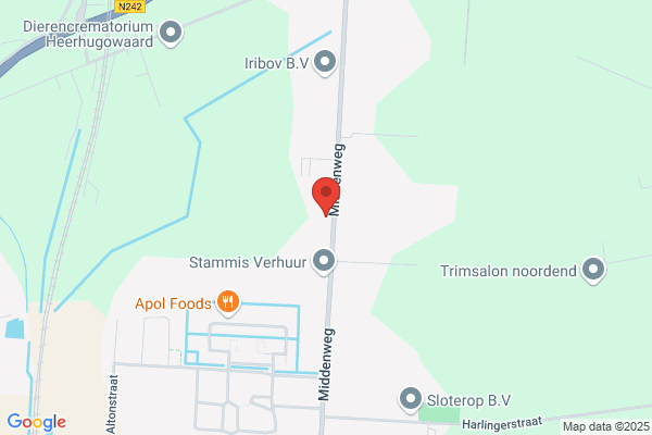 Blom Rietdekkersbedrijf J P