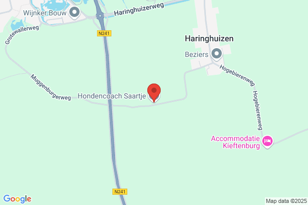 Hondengedragstherapie