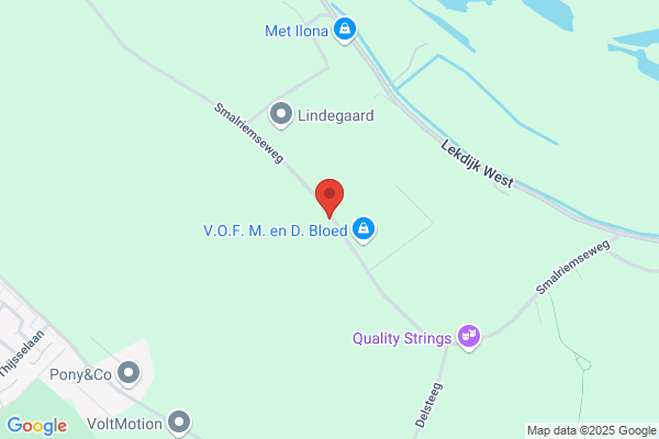 Wildschut